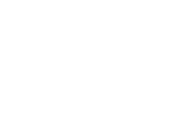 speed challenge flexible